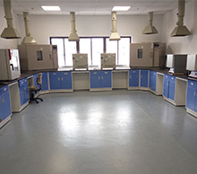 鲸鱼视频传媒APP下载厂家